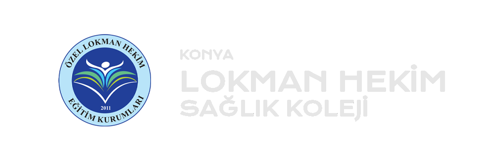 Lokman Hekim ASML